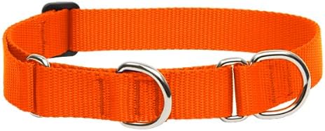 LupinePet Basics 1" Blaze Orange 19-27" Martingale Collar for Large Dogs