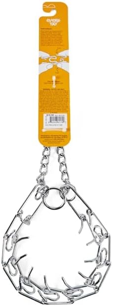 EveryYay by Petco Classic Training Dog Collar Small