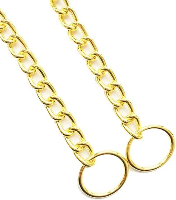 Chain Collar for Dogs, Metal Slip Link Training Heavy Duty Dog Collar Martingale Puppy Collars for XXS XS Small Medium Large Big XL Breed Dogs, Silver (Gold, S(Neck Max 16inch))
