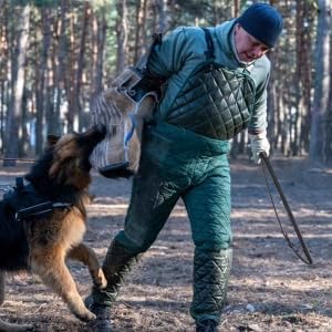 Pssopp Cowhide Dog Agitation Whip, Dog Teaser Wand Dogs Training Whip Outdoor Playing for Pulling Chasing Chewing Teasing Training