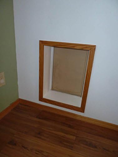 Ranger by Freedom Pet Pass Insulated Dog Door for Walls - M