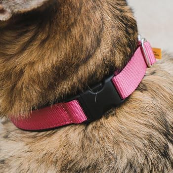 Hidden Prong with Snap – Adjustable Hidden Pinch Collar, Heavy Duty Chrome, 200 lb Clasp, Made in America (12, Red)