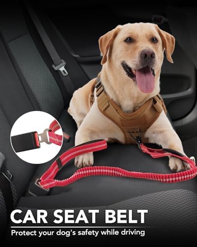 Joytale Tactical Dog Leash Heavy Duty, 4-6FT Shock Absorbing Bungee Lead with 2 Padded Handle, Metal Carabiner Clip, Car Seatbelt, Strong No Pull Leash for Medium Large X-Large Dogs, Red