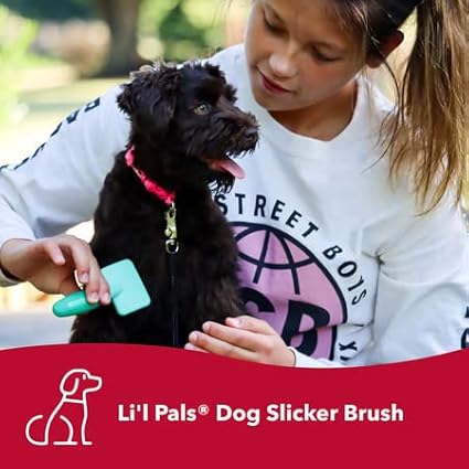 Coastal Pet - Li'l Pals Slicker Brush with Coated Tips and Double-Sided Comb for Small Dogs and Puppies - Bundle