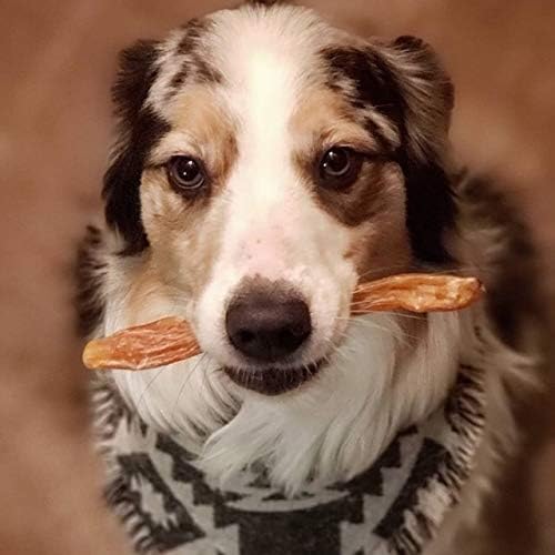 Beef Tendons for Dogs Made in USA. 6-10 Inch Grass Fed Farm-Raised American Beef Dog Treats. All Natural Dog Dental Chews. Grain Free Odor-Free Chews 8 Ounce