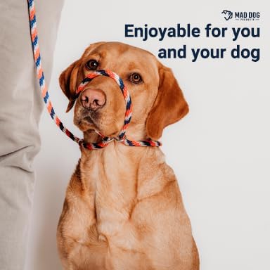 Mad Dog Products Easy Leader Dog Leash 1/2" x 15' Orange Signature Rope - Made in USA