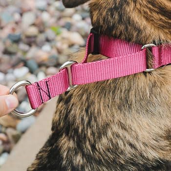 Hidden Prong with Snap – Adjustable Hidden Pinch Collar, Heavy Duty Chrome, 200 lb Clasp, Made in America (13, Red)