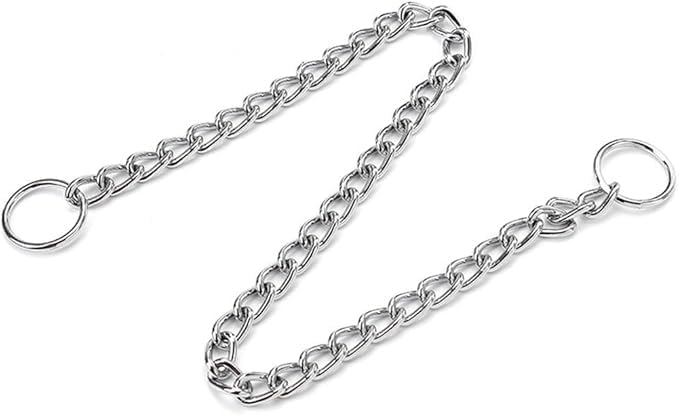Chain Collar for Dogs, Metal Slip Link Training Heavy Duty Dog Collar Martingale Puppy Collars for XXS XS Small Medium Large Big XL Breed Dogs, Silver (Silver, S(Neck Max 16inch) D2.5mm)