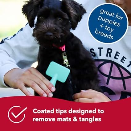 Coastal Pet - Li'l Pals Slicker Brush with Coated Tips and Double-Sided Comb for Small Dogs and Puppies - Bundle