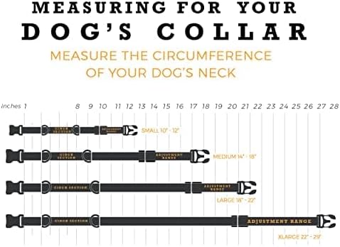 Wolfgang Heavy Duty Martingale Dog Collar with Quick Release Nylon Buckle for Walking & Training, Quetzal Print, Medium