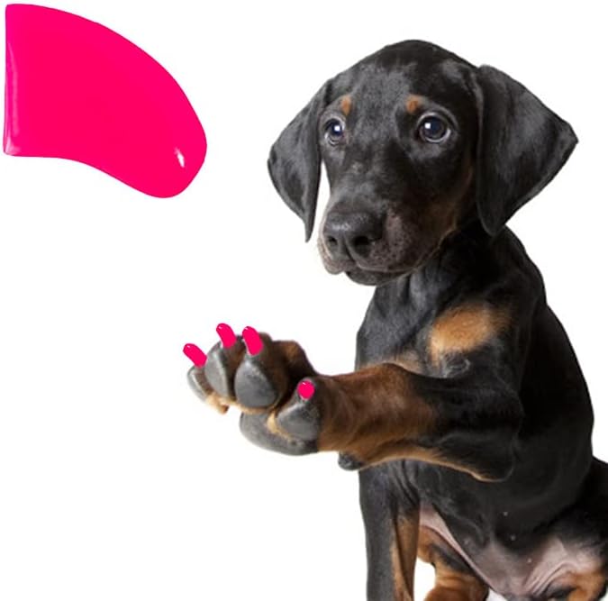 3 Month Supply Soft Nail Caps with Adhesive for Dog Claws - Fuscia Pink XXL