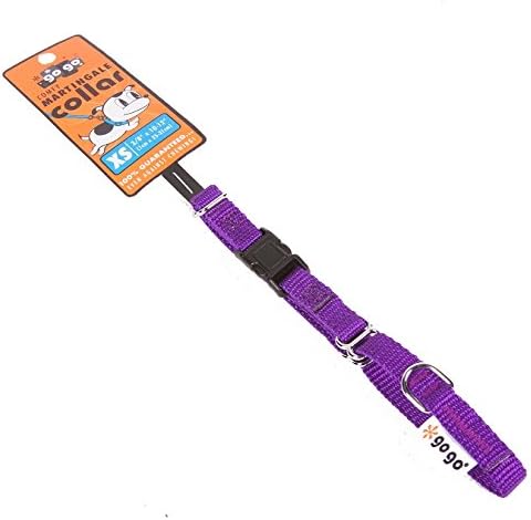 GOGO Pet Products 3/8-Inch Martingale Dog Collar, X-Small, Purple