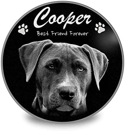 ADFSTONE 10" Round Shaped Pet Memorial Stones Personalized Dog Remembrance Gifts, Customized Cat Picture Grieving Plaque, DIY Gravestone, Custom Sympathy Photo Gift, Animal Grave Markers