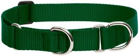 LupinePet Basics 1" Green 15-22" Martingale Collar for Medium and Larger Dogs