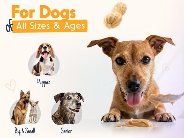 Bark Bistro Company, Superberry Snoot + Barkin Banana + Pumpkin Pup, 100% Natural Dog Peanut Butter, Healthy Dog Treats - Made in USA (Set of 3 / 17oz)
