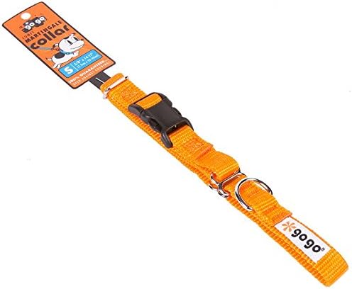 GOGO Pet Products 5/8-Inch Martingale Dog Collar, Small, Orange