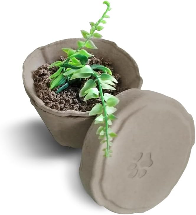 B Remembered Plantable Pet Ashes Urn - Eco-Friendly, 100% Biodegradable Molded Pulp,Grow a Memorial Plant(no Include the Seeds, is not a Neutralizer)