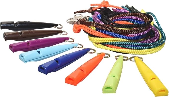 ACME 211.5 Professional Dog Training Whistle with Lanyard. BPA-Free Plastic. 90 dBA. Standardized 5400Hz Frequency for Larger Breeds. Weatherproof. Made in The UK (Honeysuckle Pink)