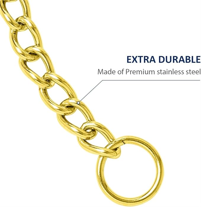 Gold Dog Choke Chain Collar,Metal Slip Link Martingale Dog Collar Training Heavy Duty Male Boys Dog Chain Female Girls Puppy Collars for XXS XS Small Medium Large Big Breed,S
