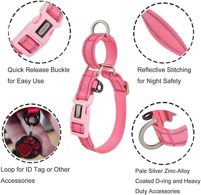 Martingale Collar Reflective Nylon Collar with Safety Quick Release Buckle,Escape-proof Anti-pull for Small Medium and Heavy Duty Dogs(Hotpink,S)