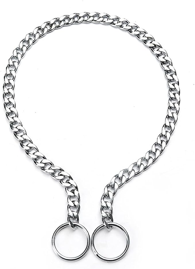 Dog Chain Collars for Small Dogs, Heavy Duty Martingale Collar Silver S Slip P Training Metal Link for XS Small Medium Large Big XL Breed Puppy Dogs