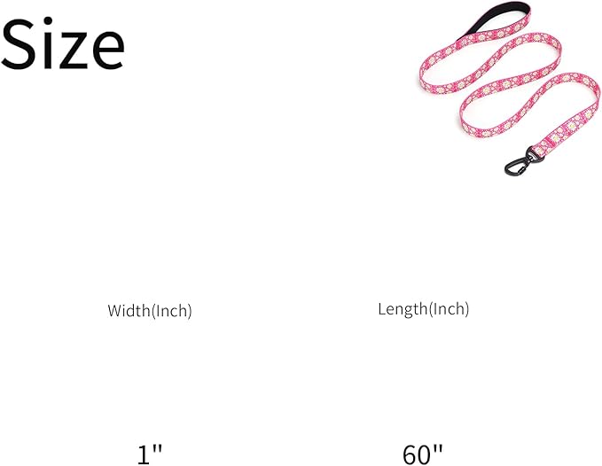 Martingale Collar for Medium Dogs, Girl Dog Collar with Daisy Flowers, Heavy Duty No Pull Dog Collar Floral Design Dog Training Collar, Perfect for Training, Walking, Hunting (Hot Pink + Leash, M)