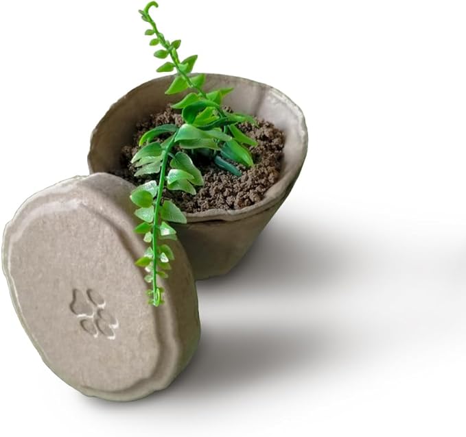 B Remembered Plantable Pet Ashes Urn - Eco-Friendly, 100% Biodegradable Molded Pulp,Grow a Memorial Plant(no Include the Seeds, is not a Neutralizer)