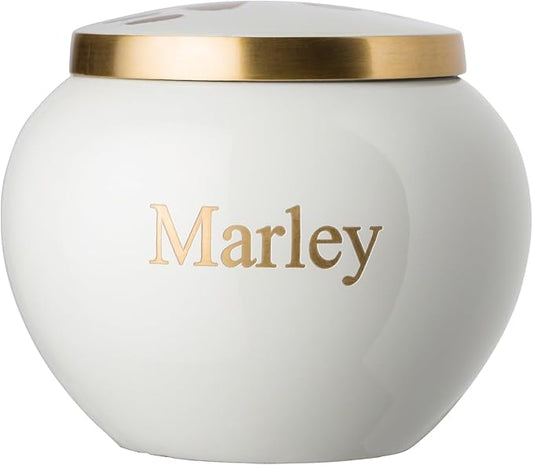 Mia Paws Premier Series Pet Urn for Dogs with Personalized Laser Engraving (Medium - Pets up to 35 lbs, Cloud White, Double Brass Paws)