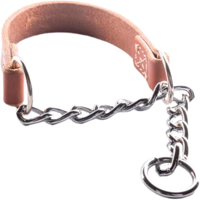 Joel Silverman's Patented Alternative Training Collar (Medium II) - Alternative to a Martingale and Pinch Collar!