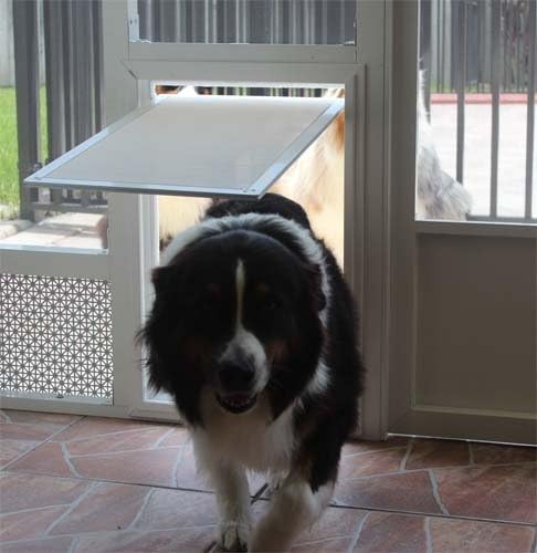 Security Boss Door Mounted Screen Dog Door - for Swinging and Sliding Screen Doors - Pet Door for Large Dogs and Small Cats Alike - Durable Aluminum Frame - Scratch Resistant Screen