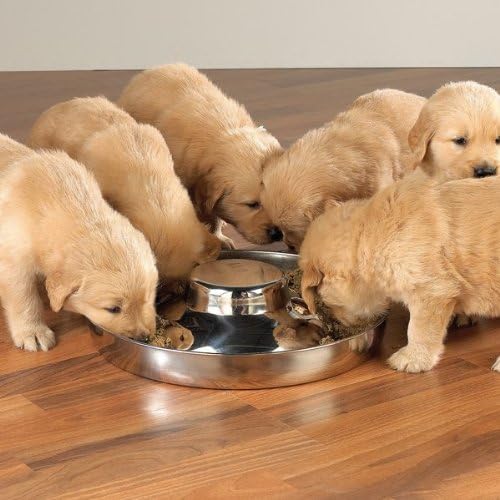 ProSelect 14.5-Inch Stainless Steel Puppy Dish