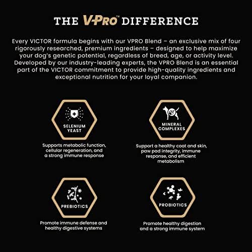 VICTOR Super Premium Dog Food – Elite Canine Dry Dog Food with Chicken & Fish Meal – 25% Protein, 14% Fat, Gluten Free – for Large Breed Dogs & Puppies, 15lbs