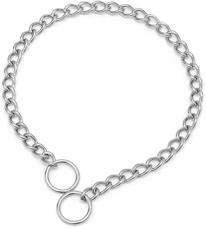 Stainless Steel Slip P Dog Chain Collars for Small Dogs, Link Training CollarMartingale Collars Puppy Chain for XXS Small Medium Large Dogs, XS Silver