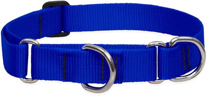 LupinePet Basics 1" Blue 19-27" Martingale Collar for Large Dogs