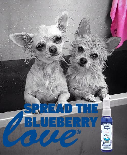 Showseason Animal Products South Bark's Original Blueberry Dog Cologne 8.5 oz. | Dog Perfume Long Lasting | Deodorizing Spray | Same Scent As The Famous Blueberry Facial®