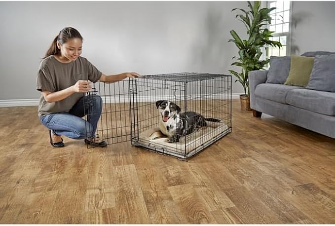 EveryYay by Petco 1-Door Dog Crate Large 36" L X 22.5" W X 24.9" H Black: No Handles