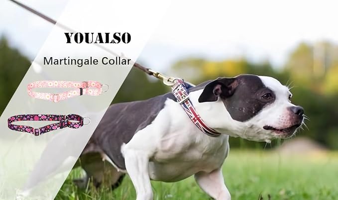 Red Martingale Collars for Dogs, Daisy Print No-Slip Escape Proof Choke No Pull Soft Nylon Training Dog Collars for Small Medium Large Breed Pet Dogs, S