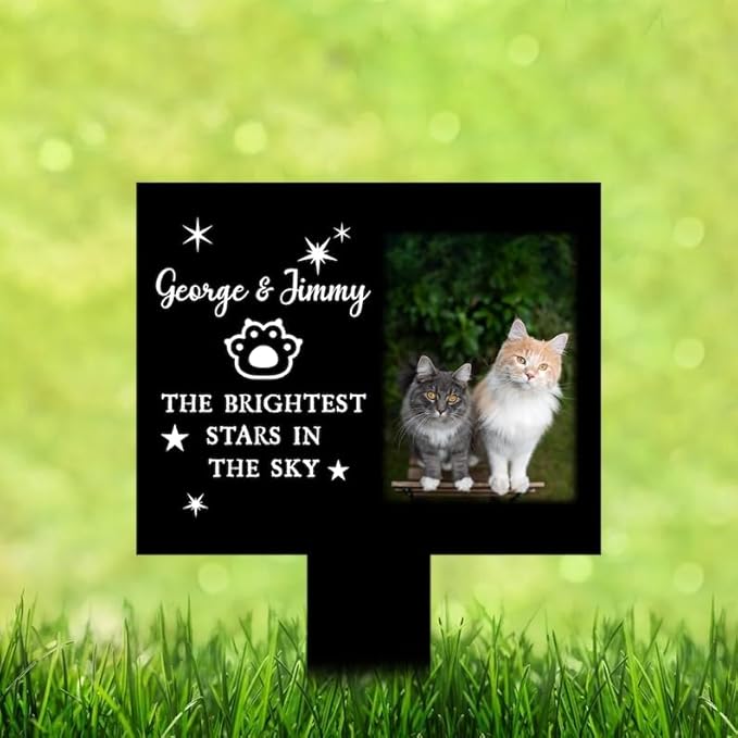 Personalized Cat Memorial Stake Custom Cat Photo The Brightest Stars in The Sky Metal 12x12 inch Pet Grave Marker Cat Loss Gift Sympathy Gift for Cat Lover (Style 5)