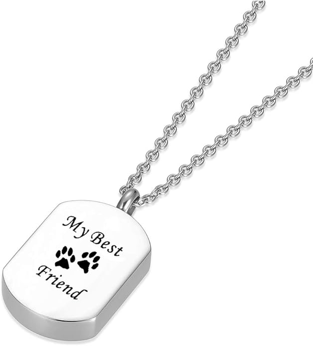 Cremation Jewelry for Ashes for Pet Stainless Steel Keepsake Waterproof Memorial Pendant Ash Holder Paw Print Urn Necklace for Cat Dog's Ashes with Filling Kit