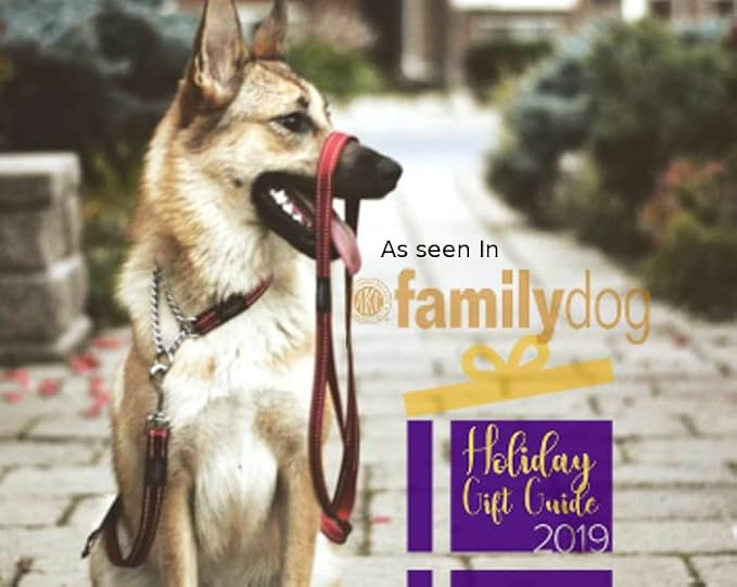 Reflective Nylon Choke Collar; Slip Show Obedience Training Gentle Choker for Medium Dogs, Yellow