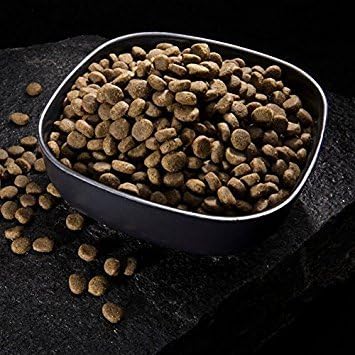 CRAVE Grain Free High Protein Adult Dry Dog Food with Lamb, 22 lb. Bag