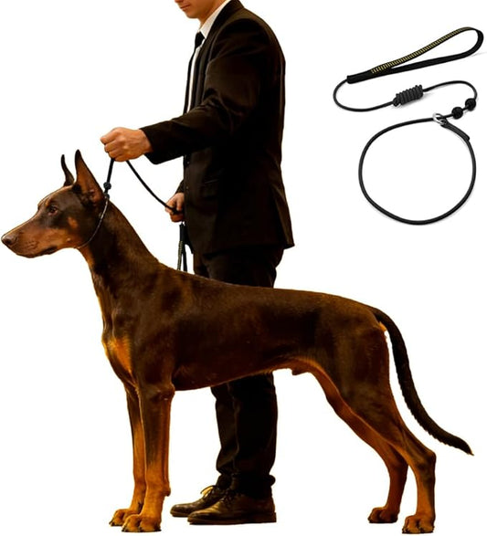 BeauGo|Slip Leads for Dogs,Designed for Dog Training and NGKC Competition for Leash,2-in-Dog Lead & Collar,Professional Trainer leashes,Easily Training Your Dogs,Suitable All Dog for Training Rope