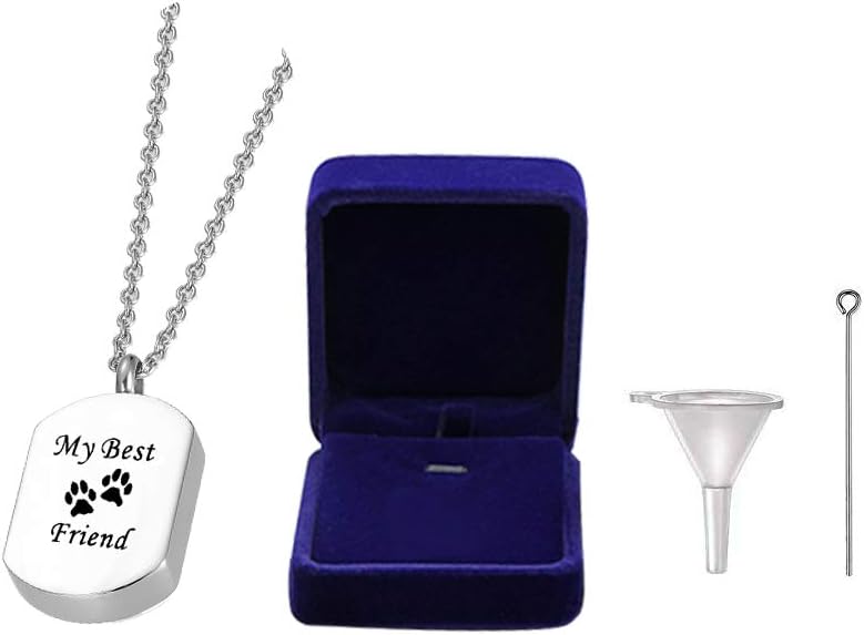 Cremation Jewelry for Ashes for Pet Stainless Steel Keepsake Waterproof Memorial Pendant Ash Holder Paw Print Urn Necklace for Cat Dog's Ashes with Filling Kit