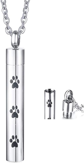 Jude Jewelers Stainless Steel Pet Dog Puppy Memorial Cremation Ash Urn Pendant Necklace