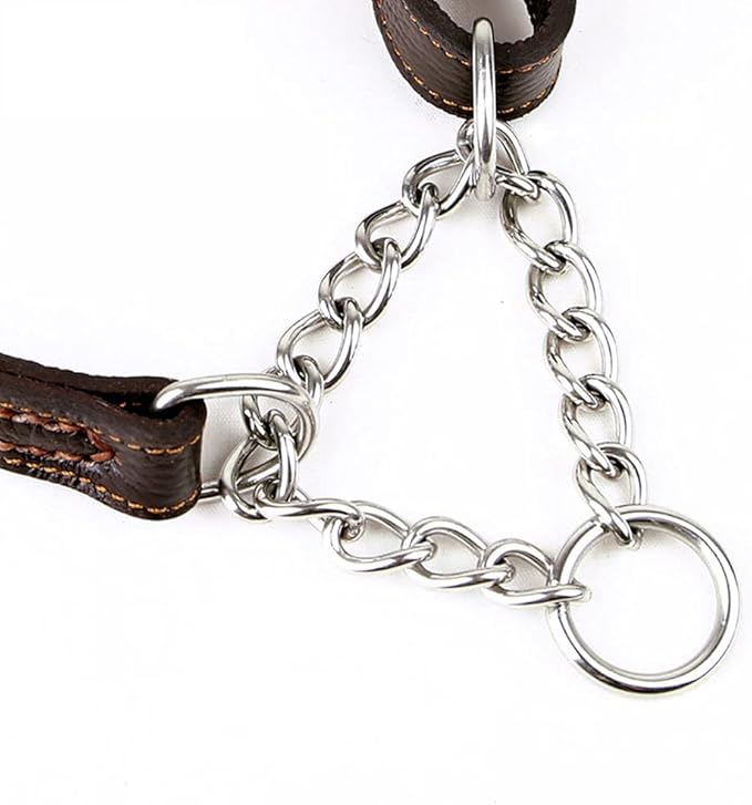 Love Dream Martingale Collars for Dogs, Leather Training Dog Collar, Stainless Steel Chain Anti-Escape No Pull Dog Collar for Medium Large Dogs (M(13.8"-18.9"), Brown)