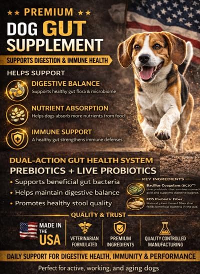 Braveheart K9 Gut & Immunity Care Dog Supplement, Veterinarian Formulated, Dual Action Prebiotic & Probiotic System, Fortified Soft Chew, 160 Count