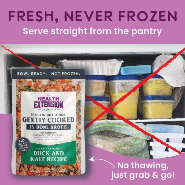 Health Extension Gently Cooked Grain-Free Duck & Kale Dog Food, Human-Grade & Shelf-Stable with Superfoods, Supports Digestion, Immunity, Skin & Coat, 9 oz Pouch (Pack of 10)