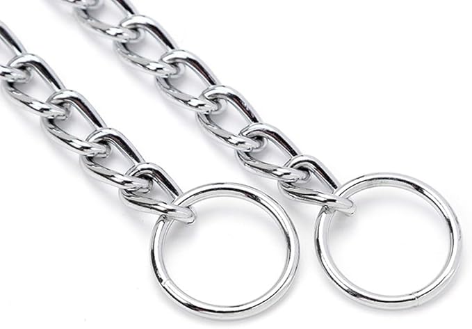 Chain Choke Collar for Dogs, Metal Slip Link Training Heavy Duty Dog Collar Martingale Puppy Collars for XXS XS Small Medium Large Big XL Breed Dogs (Silver, XS)