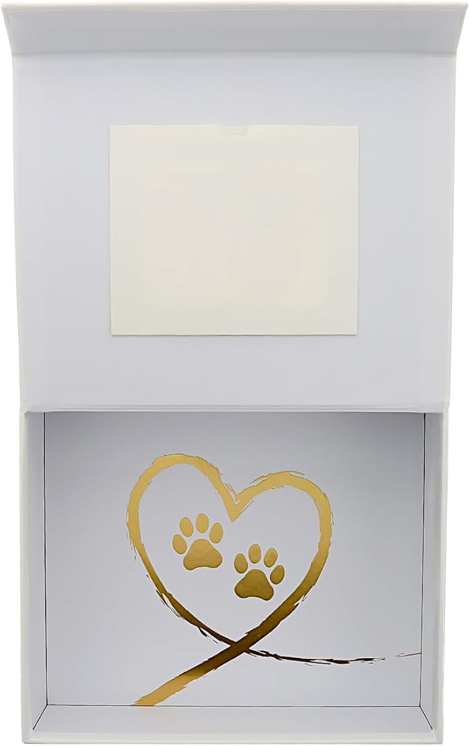 Pavilion Gift Company - Paw Prints On My Heart - Memory Box With 5" x 4" Photo Holder Loss Of Pet Cat Dog Bereavement In Memory