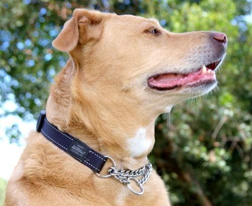 Reflective Nylon Choke Collar; Slip Show Obedience Training Gentle Choker for Large Dogs, Turquoise